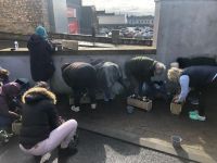 busy filling their planters